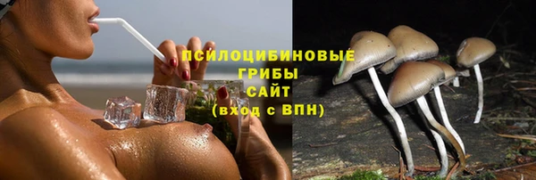 кокс Алексин