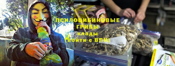 кокс Алексин