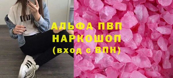 гашик Алексеевка