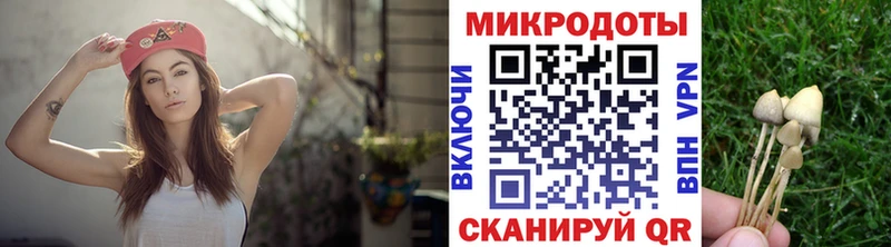 kraken ССЫЛКА  Межгорье  Псилоцибиновые грибы ЛСД 